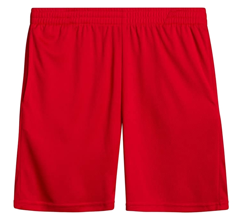 48 Pieces Youth Athletic Mesh SHORTS in Red