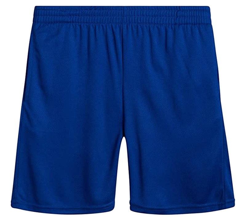 48 Pieces Youth Athletic Mesh SHORTS in Royal Blue