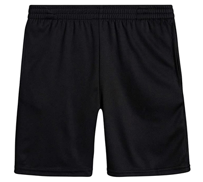 Wholesale Mesh Shorts in Black