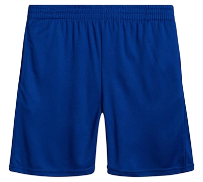 Wholesale Boys Athletic Gym Mesh Shorts in Royal Blue