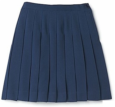 Navy Blue Pleated Skirt — Academic TradCat Uniforms For Life | lupon.gov.ph