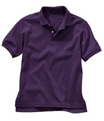 Wholesale Girls Short Sleeve School Uniform Polo Shirt Grape Purple